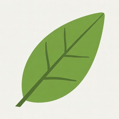 Green Leaf Illustration