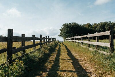 Wooden Fence Lining Grassy Path