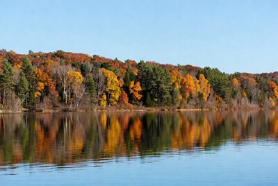 Autumn Trees Reflecting in Lake
