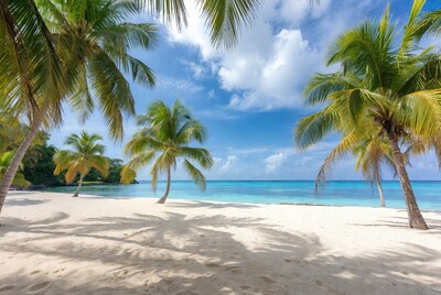 Tropical Beach with Palm Trees