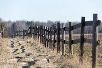 Wooden fence along dirt path