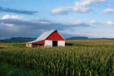Red Barn in Cornfield with Mountains