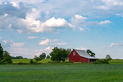 Red Barn in Green Field