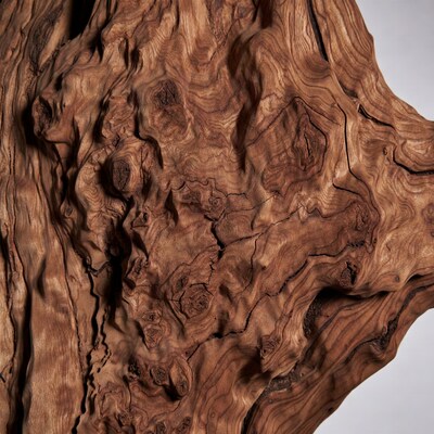 Close-up Olive Wood Texture