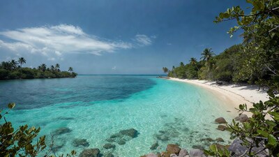 Turquoise Lagoon Beach with Palm Trees