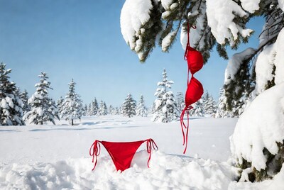 Red lingerie on snowy tree and ground