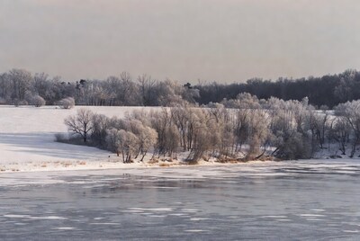 Snowy Trees by Frozen Lake