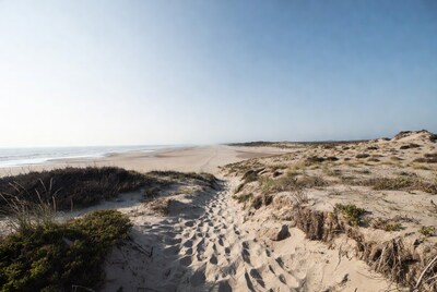 Footprints path through beach dunes