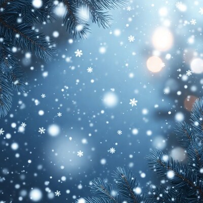 Snowy Fir Branches with Bokeh Snowflakes