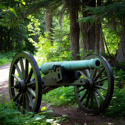 Cannon in Forest Trail
