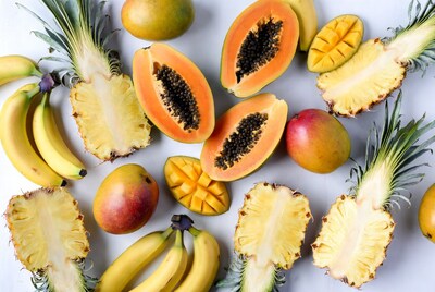Tropical Fruits Mango Papaya Pineapple Banana