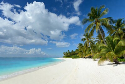 Tropical beach with palm trees