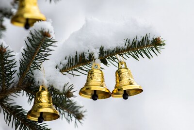 Golden bells hanging on snowy fir branches