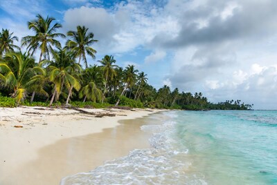 Tropical beach with palm trees