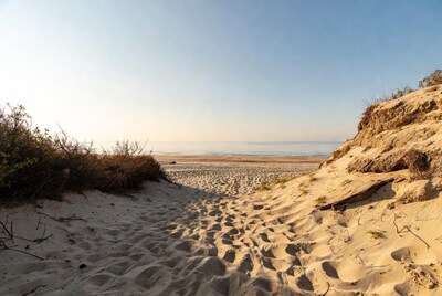 Footprints in sand path to beach