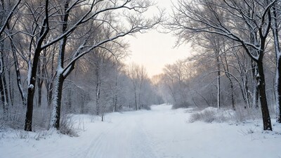 Snowy Path Through Winter Trees