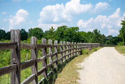 Wooden fence along rural dirt path