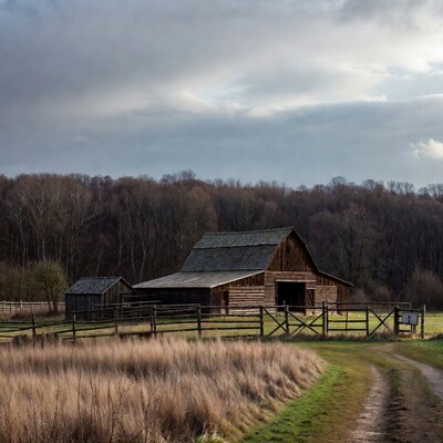 Rustic Barn in Autumn Field