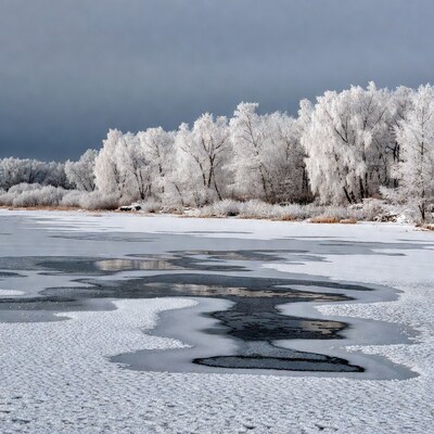 Frost-covered trees by frozen lake