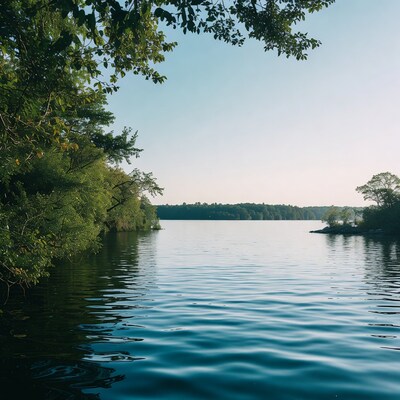 Serene Lake Framed by Trees