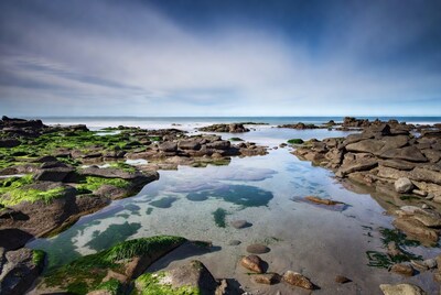 Rocky Shoreline with Tide Pools and Ocean