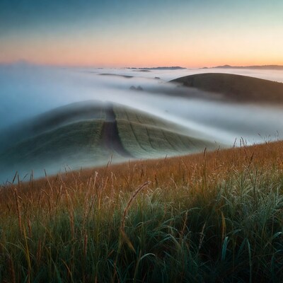 Foggy Hills with Grasses at Sunrise