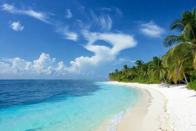 Tropical Beach with Turquoise Water and Palms