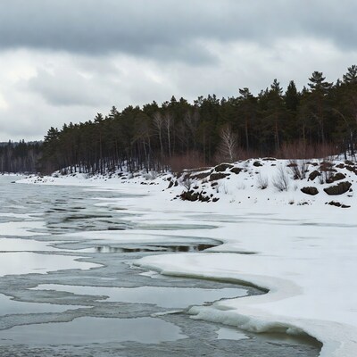 Frozen River with Pine Forest Shore