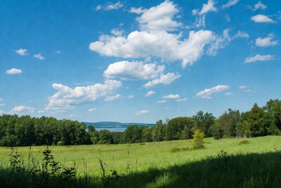 Green Meadow Lake Forest Blue Sky