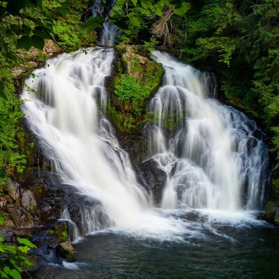 Waterfall cascading in lush green forest