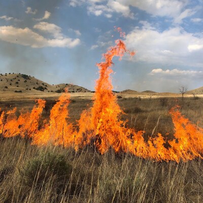 Grass fire burning in dry field