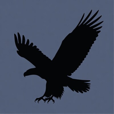 Flying Eagle Silhouette