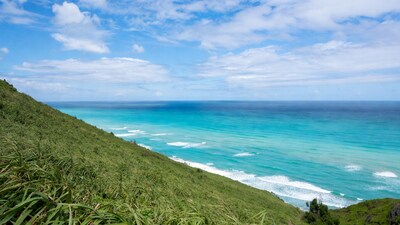 Green grassy cliff overlooking turquoise ocean