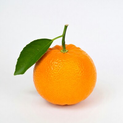 Orange with green leaf