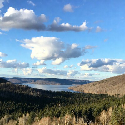 Lake surrounded by forested mountains