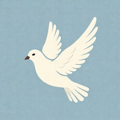 White dove flying on blue background
