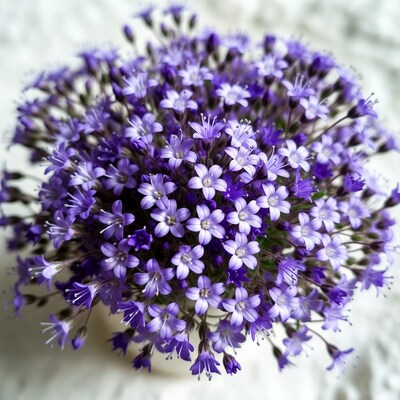 Purple flower cluster in vase