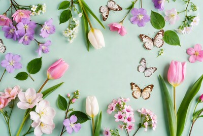 Pink Tulips Butterflies Flowers Green Background