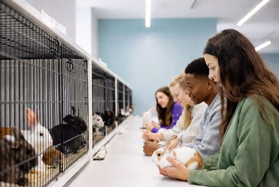 Group viewing rabbits in cages