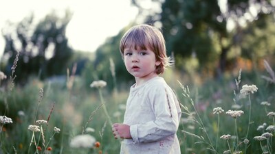 Toddler boy in wildflower field