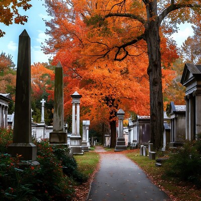 Autumn Cemetery Path with Orange Trees