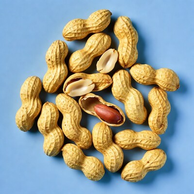 Peanuts on Blue Background