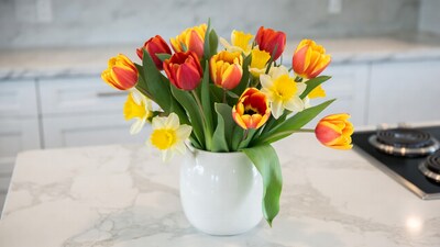 Red Yellow Tulips Daffodils in White Vase