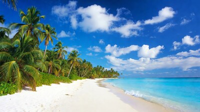 Tropical beach with palm trees