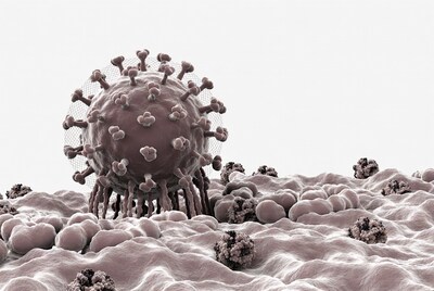 3D Coronavirus on Cell Surface