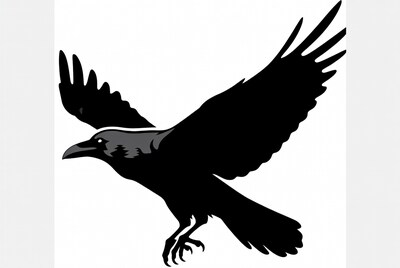 Flying Crow Silhouette Illustration