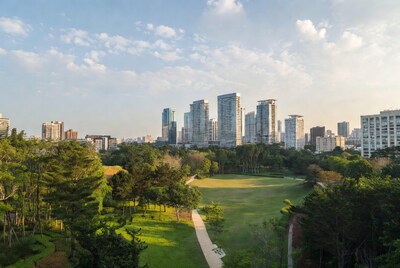 Park with Skyscrapers and Green Lawn
