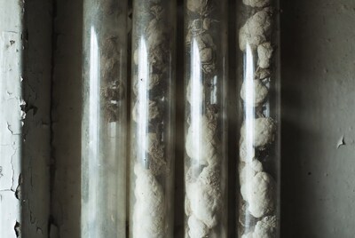 Glass jars filled with white rocks