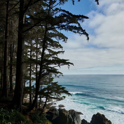 Cypress trees overlooking ocean waves