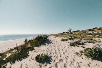 Sandy path through dunes to beach